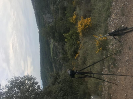 Viendo el hilo de monterias de la Comunidad Valenciana, abro este hilo por si alguna colla / sociedad 141