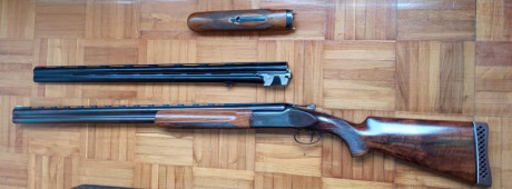 RESERVADA
Vendo PERAZZI SC1
DOBLE juego de cañones, 71 ***/1 y 74 **/*
DOBLE juego de guardamanos, uno 10
