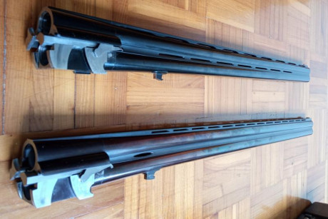 RESERVADA
Vendo PERAZZI SC1
DOBLE juego de cañones, 71 ***/1 y 74 **/*
DOBLE juego de guardamanos, uno 22