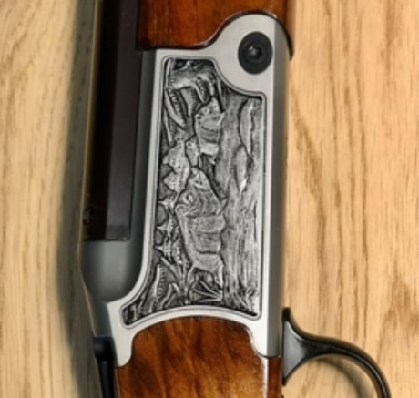 Oportunidad!!! rifle como nuevo, muy pocos tiros!!!

rifle express blaser luxus bb97 9,3x74r

es un rifle 10