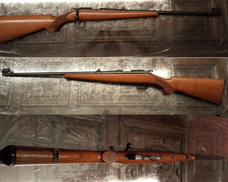 VENDO CARABINA BRNO 451. 

CALIBRE .22 LR. CON ADAPTADOR PARA ROSCA ROSCA ½” UNF EN LA PUNTA.
REGULABLE 02