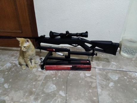 Se pone en venta esta carabina de abril de este año.
Es de resorte. Ni dos cajetines de balines de uso 22