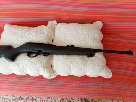 Vendo carabinaRemington ,en calibre 22 LR,en buen estado , funciona muy bien,por 220€ ncluidos portes. 01