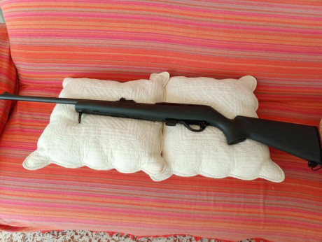 Vendo carabinaRemington ,en calibre 22 LR,en buen estado , funciona muy bien,por 220€ ncluidos portes. 00
