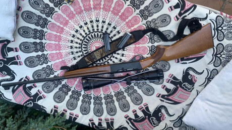 Carabina Anschutz 520, con mira  cossnar 6-24x52 y dos cargadores.
Sin apenas uso y puesta a tiro.
250€+Envío.
El 02