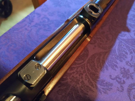 Se vende juego completo de monturas y anillas (30mm) recknagel eramatic g9 montados en un Antonio zoli 00