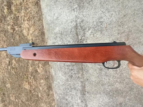Hola, vendo norica West en calibre 4.5, hay pocas unidades de este modelo ya que salió  a la par que la 12