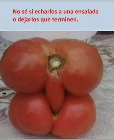 ¡Muy buenas a todos!

Estaba dando un paseo por el foro, cuando me he dado cuenta de que no había un hilo 70
