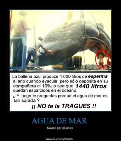 https://www.elmundo.es/elmundo/2010/10/26/internacional/1288089029.html
 :cry:  :cry: 

quien será el 120