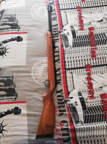 Carabina Diana 460 Magnum cal. 5,5 está impoluta tire 20 o 30 balines al comprarla y ya no la e tocado 01