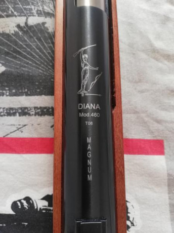 Carabina Diana 460 Magnum cal. 5,5 está impoluta tire 20 o 30 balines al comprarla y ya no la e tocado 00