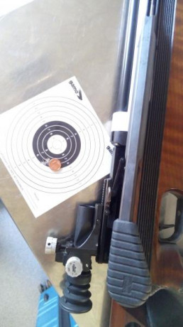 Bueno, para animar el foro un poco, propongo colgar fotos de dianas y arma usada para ello, pudiendo ser 152