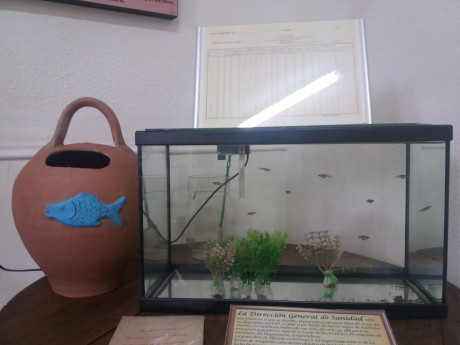 ¡Muy buenas a todos!

Estaba dando un paseo por el foro, cuando me he dado cuenta de que no había un hilo 91