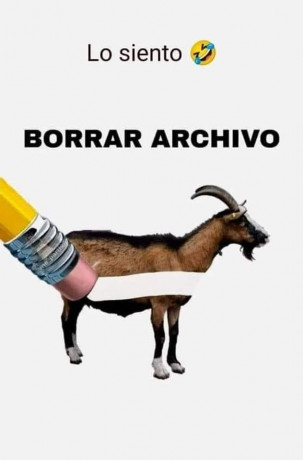 ¡Muy buenas a todos!

Estaba dando un paseo por el foro, cuando me he dado cuenta de que no había un hilo 100