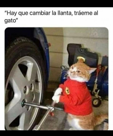 ¡Muy buenas a todos!

Estaba dando un paseo por el foro, cuando me he dado cuenta de que no había un hilo 30