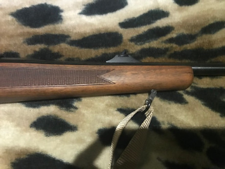 Buenos días, vendo rifle TITAN 6 de cerrojo en calibre 300 wm. Lo vendo con visor y monturas. El visor 01