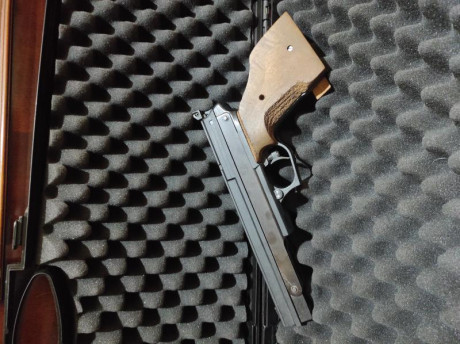 Vendo esta pistola gamo compact de perdigones apenas sin uso,para la modalidad de precisión,se le cambiaron 00