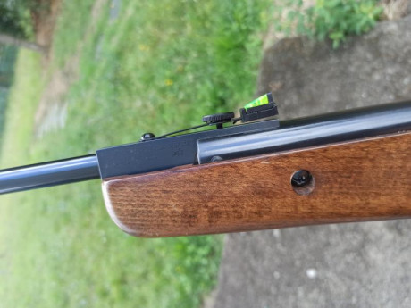 Hola, vendo mi cometa Fénix calibre 5.5 en muy buen estado,es de los primeros modelos, sin la fea bocacha 31