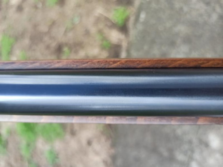 Hola, vendo mi cometa Fénix calibre 5.5 en muy buen estado,es de los primeros modelos, sin la fea bocacha 41