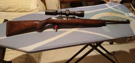 Carabina semiautomática Ruger 44remmag
Carril picatinny de aluminio marca poli Nicoletta
Anillas acero 02