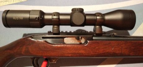 Carabina semiautomática Ruger 44remmag
Carril picatinny de aluminio marca poli Nicoletta
Anillas acero 01