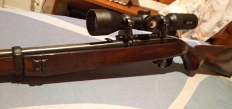 Carabina semiautomática Ruger 44remmag
Carril picatinny de aluminio marca poli Nicoletta
Anillas acero 10