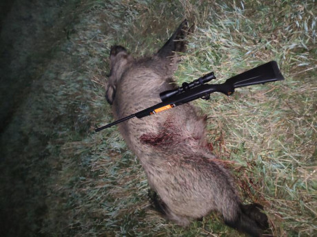 Hola a todos, para la próxima semana tengo pensado comprar mi primer rifle y el tikka t3x lite es el elegido, 90