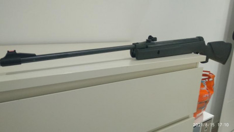 En esta ocasión, se trata de las dos Gamo Shadow que me quedan. Las pongo ambas en el mismo hilo, pues 12