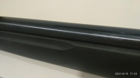 En esta ocasión, se trata de las dos Gamo Shadow que me quedan. Las pongo ambas en el mismo hilo, pues 21