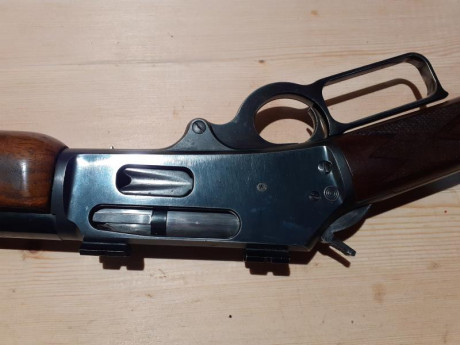 Pongo en venta Marlin 444P. Culata nueva por rotura de la original. Con bases para visor o punto rojo.
Precio 00