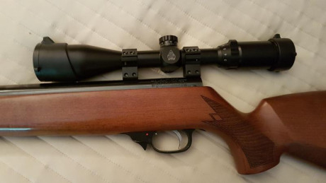 Buenos días. Quisiera preguntar a usuarios de Weihrauch Hw90 con qué visor y monturas la usan que no se 40