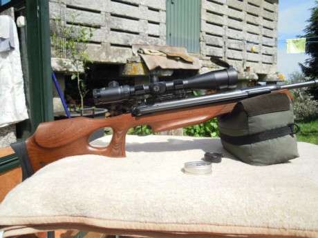 Buenos días. Quisiera preguntar a usuarios de Weihrauch Hw90 con qué visor y monturas la usan que no se 91