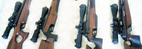 Buenos días. Quisiera preguntar a usuarios de Weihrauch Hw90 con qué visor y monturas la usan que no se 130