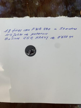 Buenos días. Quisiera preguntar a usuarios de Weihrauch Hw90 con qué visor y monturas la usan que no se 160