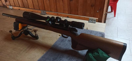 Buenos días. Quisiera preguntar a usuarios de Weihrauch Hw90 con qué visor y monturas la usan que no se 10