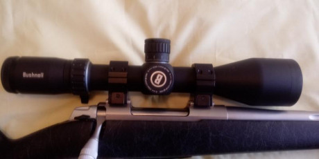 Vendo visor Bushnell Forge 3-24x56 Retícula iluminada  G4i en 2º plano. Tubo de 34mm.
Torretas Tàcticas 02