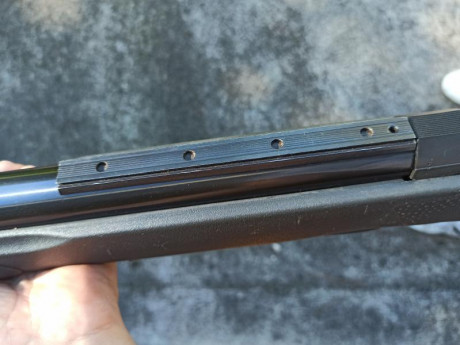 Hola, vendo gamo cfx en calibre 5.5, le falta el alza y el punto de mira. Esta en buen estado con algunas 12
