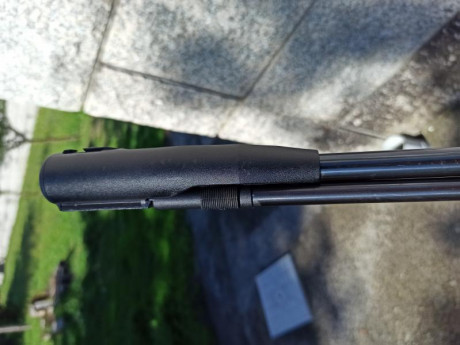 Hola, vendo gamo cfx en calibre 5.5, le falta el alza y el punto de mira. Esta en buen estado con algunas 11
