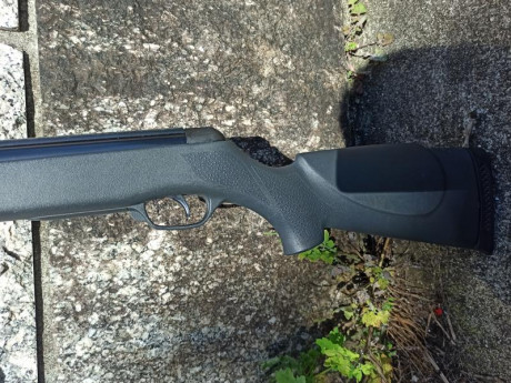 Hola, vendo gamo cfx en calibre 5.5, le falta el alza y el punto de mira. Esta en buen estado con algunas 10