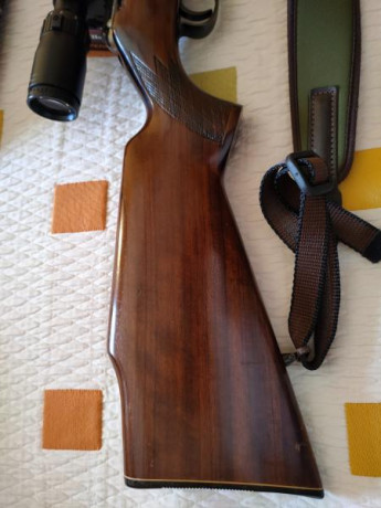 Vendemos está carabina del 22lr ,mi hijo ya no se acuerda que está en el armero,mucho tiempo lleva en 02