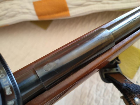 Vendemos está carabina del 22lr ,mi hijo ya no se acuerda que está en el armero,mucho tiempo lleva en 12
