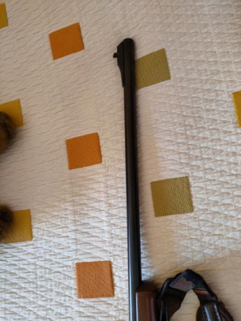 Vendemos está carabina del 22lr ,mi hijo ya no se acuerda que está en el armero,mucho tiempo lleva en 22