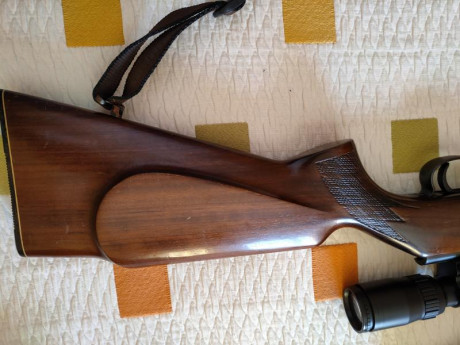 Vendemos está carabina del 22lr ,mi hijo ya no se acuerda que está en el armero,mucho tiempo lleva en 30