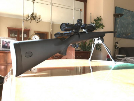 Ya tengo un semiautomático .222 (VZ58 largo) y es un calibre con el que me siento muy a gusto.
Ahora quiero 61