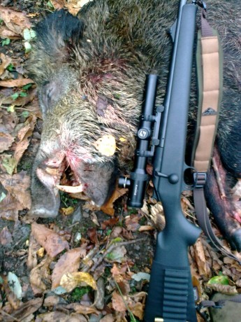 Busco Winchester,Marlin o Rossi a precio razonable,preferentemente .44 mag 40