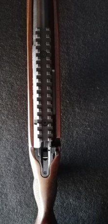 Pongo a la venta un CZ 557 Varmint en calibre 308W. Está impecable y sin un rasguño. Tiene apenas si llega, 00