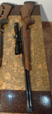 Vendo carabina Air arms en 22 cal en 16 j (actualmente en unos 18 j con arandelas de carga)Muy bonita 52