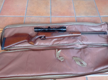 Vendo carabina Air arms en 22 cal en 16 j (actualmente en unos 18 j con arandelas de carga)Muy bonita 62