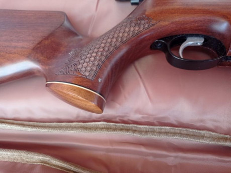 Vendo carabina Air arms en 22 cal en 16 j (actualmente en unos 18 j con arandelas de carga)Muy bonita 72