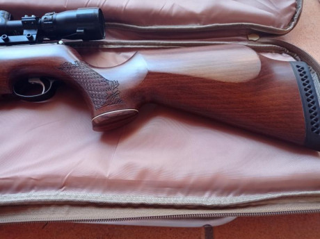 Vendo carabina Air arms en 22 cal en 16 j (actualmente en unos 18 j con arandelas de carga)Muy bonita 71